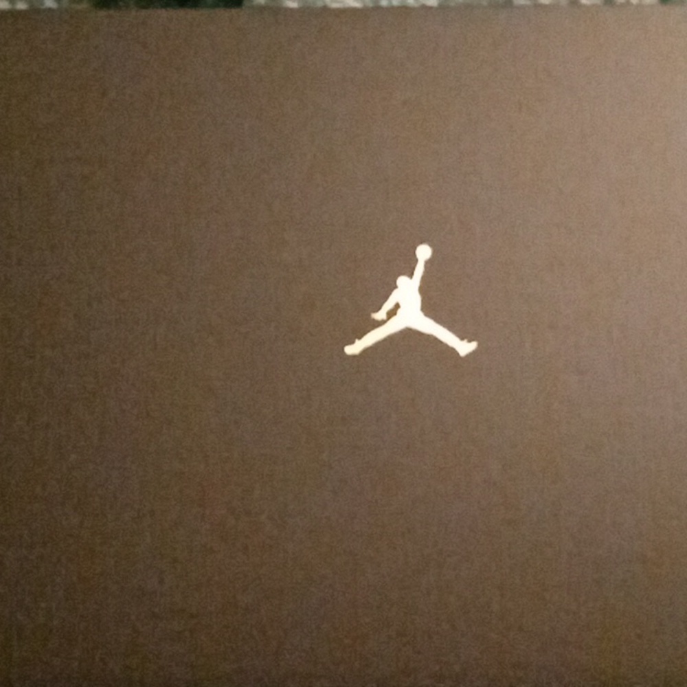 Jordan 11 mid TD
